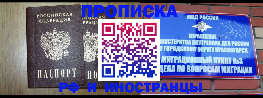 прописка в квартире в Новосибирской области